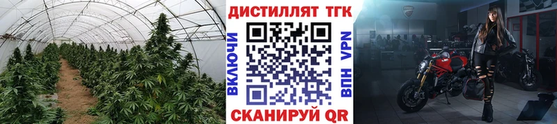 Дистиллят ТГК THC oil  хочу наркоту  darknet официальный сайт  Златоуст 